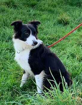 WhatsApp_Image_2022-09-05_at_07