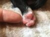 WhatsApp_Image_2018-07-12_at_08